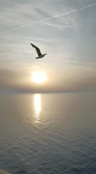 Armareaoverseassuites Fiumicino Dış mekan fotoğraf